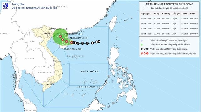 Dự báo thời tiết biển ngày và đêm 20/08/2026