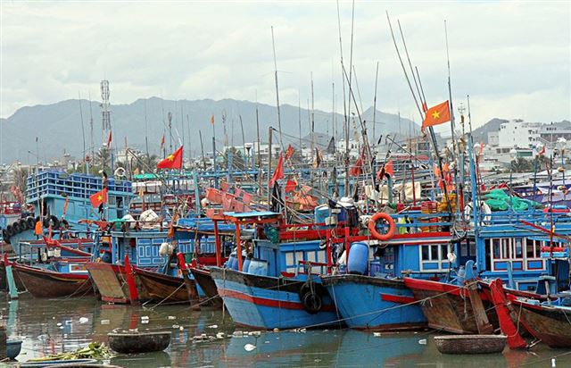 Dự báo thời tiết biển phục vụ các tuyến vận tải thủy từ bờ ra đảo cho 24 giờ kể từ 07 giờ, ngày 08/05/2023.