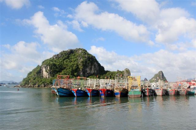 Dự báo thời tiết biển phục vụ các tuyến vận tải thủy từ bờ ra đảo cho 24 giờ kể từ 19 giờ ngày 08/11/2025.