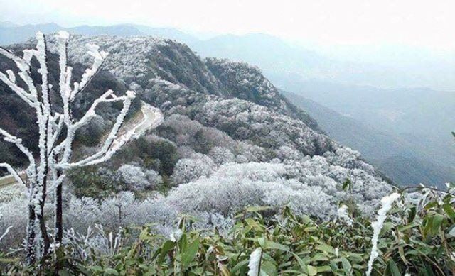 Tin không khí lạnh tăng cường và rét (Tin phát lúc 21h30 ngày 07/02/2025)