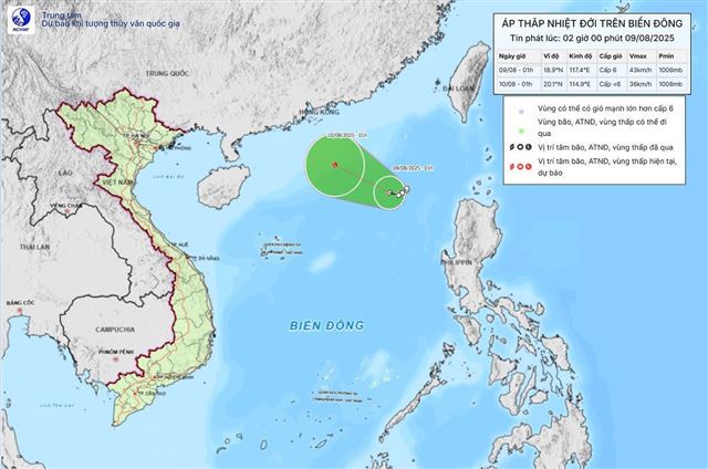 Dự báo thời tiết biển ngày và đêm 09/08/2025