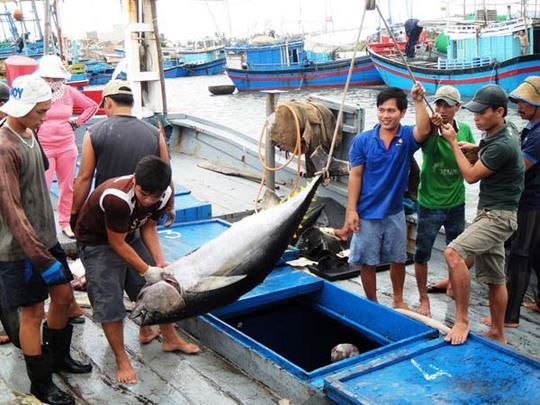 Dự báo ngư trường khai thác cá ngừ vằn tháng 7 - 2024