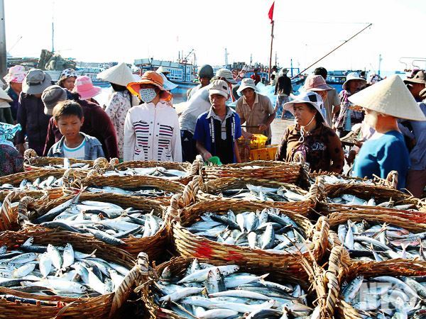Dự báo ngư trường khai thác cá nổi nhỏ tháng 4 - 2025