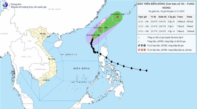 Tin bão trên biển Đông ( Cơn bão số 14 - Tin phát lúc 20h00 ngày 11/11/2025)