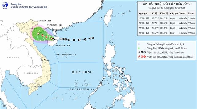 Tin áp thấp nhiệt đới trên biển Đông (Tin phát lúc 20h00 ngày 20/08/2026)
