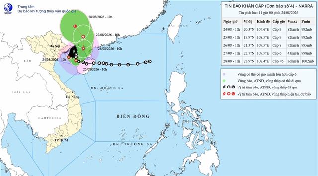 Dự báo thời tiết biển từ 13 giờ ngày 24/08 đến 13 giờ ngày 25/08 năm 2026