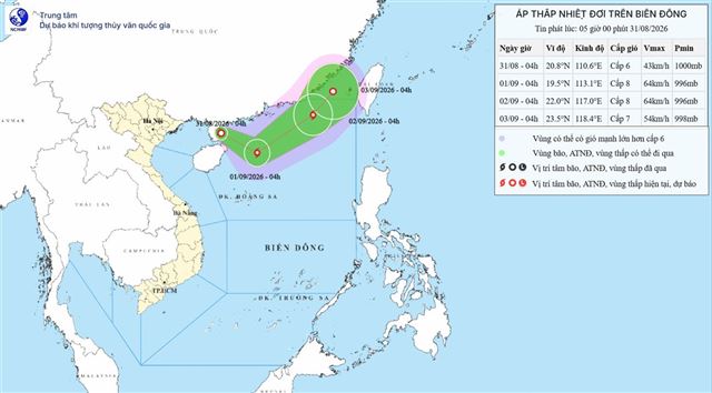 Tin áp thấp nhiệt đới trên biển Đông (Tin phát lúc 05h00 ngày 31/8/2026)