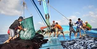 Dự báo ngư trường khai thác cá ngừ đại dương (Hạn 07 ngày, từ 24/06/2024 đến 30/06/2024)