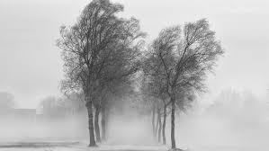 Tin gió mùa đông bắc (Tin phát lúc 09h30 ngày 03/3/2026)