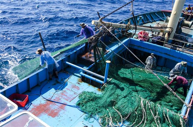 Dự báo ngư trường khai thác nghề Rê tháng 01 - 2026