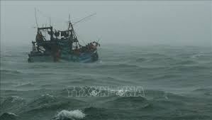 Tin không khí lạnh tăng cường và rét (Tin phát lúc 15h30 ngày 23/02/2025)