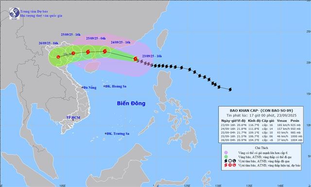 Dự báo thời tiết biển đêm 23/09 ngày 24/09/2025
