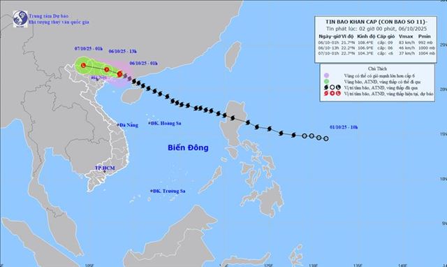 Tin bão khẩn cấp - Cơn bão số 11 (Tin phát lúc 02h00 ngày 06/10/2025)
