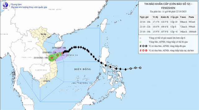 Tin bão khẩn cấp - Cơn bão số 12 (Tin phát lúc 11h00 ngày 22/10/2025)