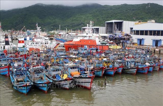 Dự báo thời tiết biển phục vụ các tuyến vận tải thủy từ bờ ra đảo cho 24 giờ kể từ 07 giờ ngày 30/05/2025.