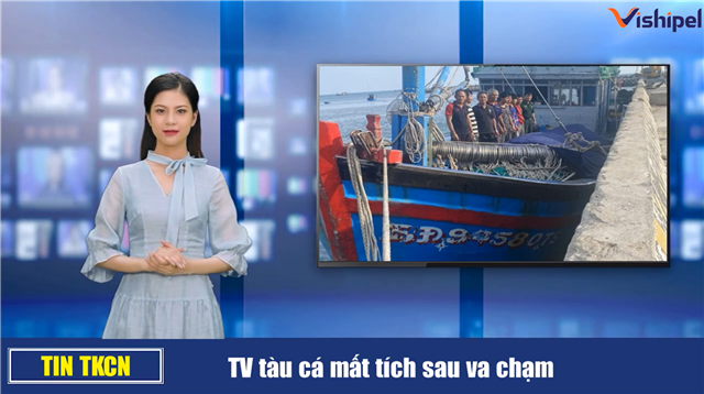 TV tàu BĐ 92155 TS mất tích sau va chạm